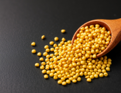 Yellow Mustard Seeds